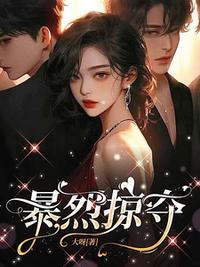 暴烈掠夺